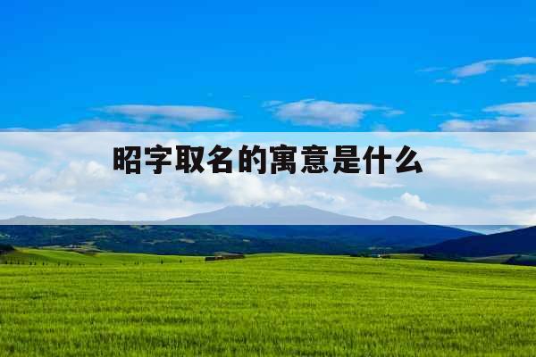 昭字取名的寓意是什么 昭字取名的寓意是什么