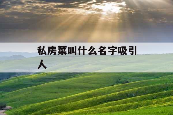 私房菜叫什么名字吸引人 