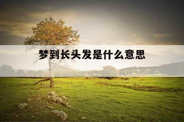 梦到长头发是什么意思 
