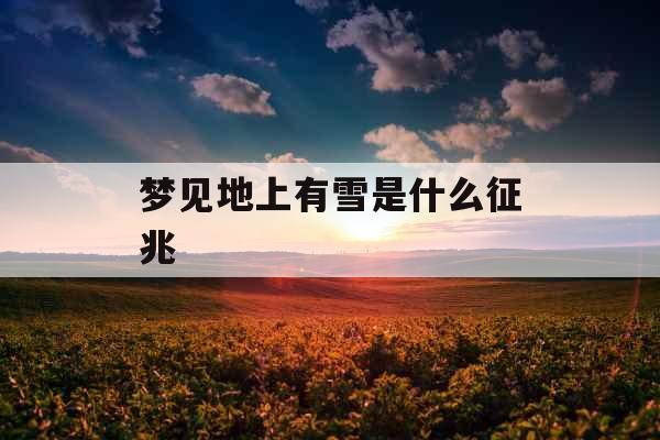 梦见地上有雪是什么征兆 