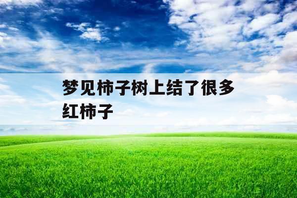 梦见柿子树上结了很多红柿子 