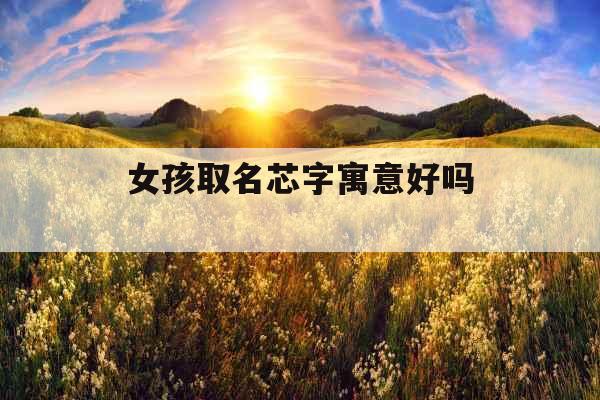 女孩取名芯字寓意好吗 女孩取名芯字寓意好吗