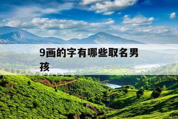 9画的字有哪些取名男孩 