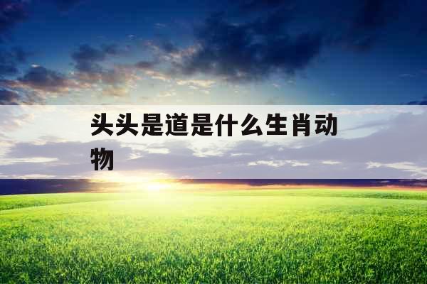 头头是道是什么生肖动物 