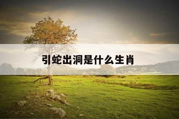 引蛇出洞是什么生肖 