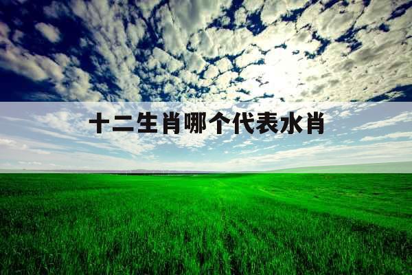 十二生肖哪个代表水肖 