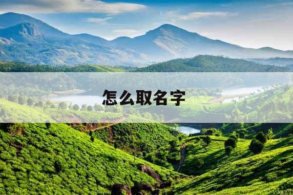 怎么取名字 