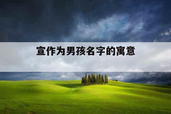 宣作为男孩名字的寓意 