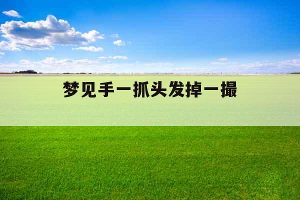 梦见手一抓头发掉一撮 