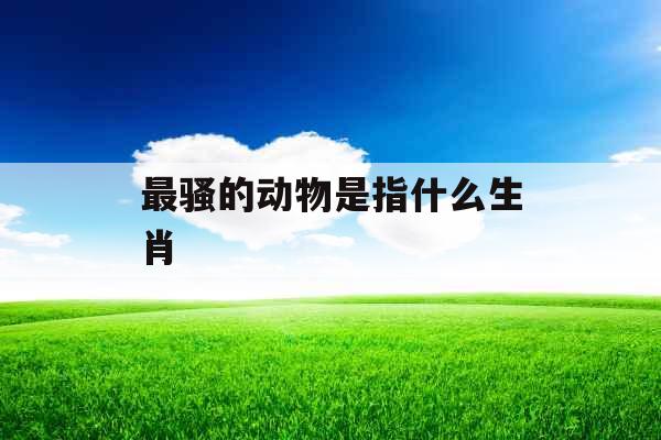 最骚的动物是指什么生肖 