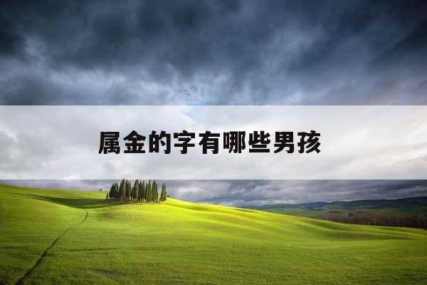 属金的字有哪些男孩 