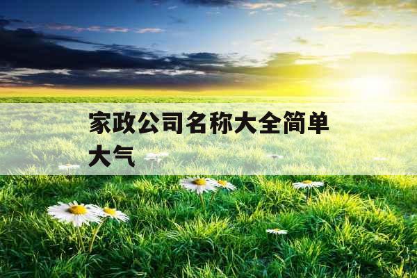 家政公司名称大全简单大气 