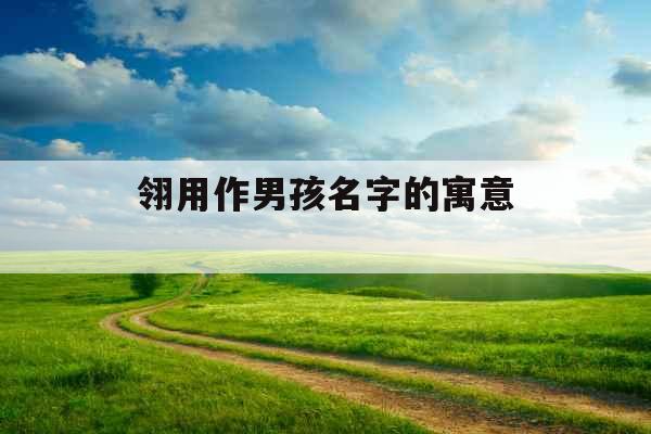 翎用作男孩名字的寓意 