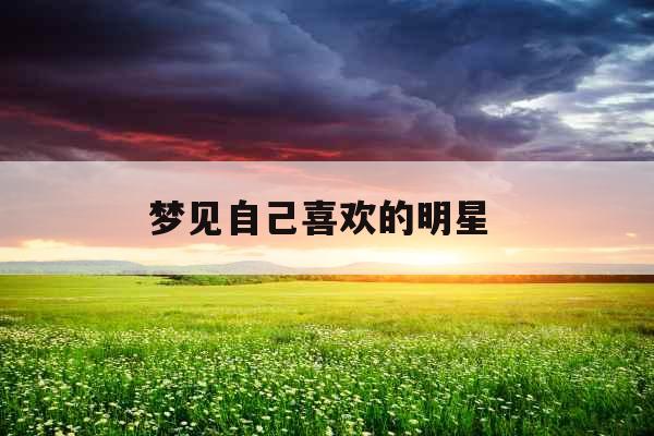 梦见自己喜欢的明星 