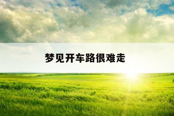 梦见开车路很难走 