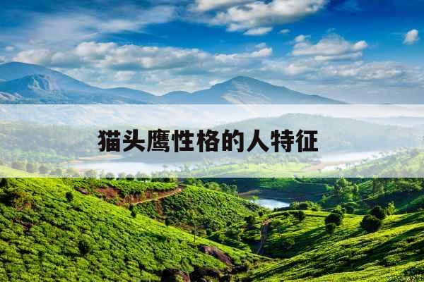 猫头鹰性格的人特征 