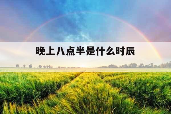 晚上八点半是什么时辰 