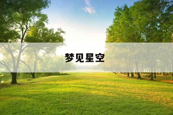 梦见星空 