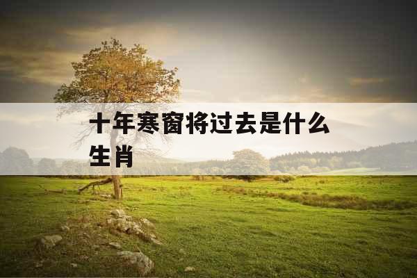 十年寒窗将过去是什么生肖 