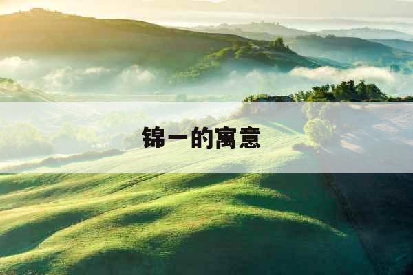 锦一的寓意 锦一的寓意