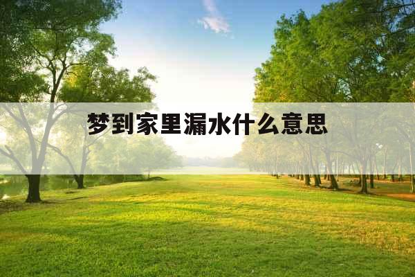 梦到家里漏水什么意思 