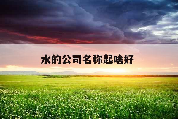 水的公司名称起啥好 