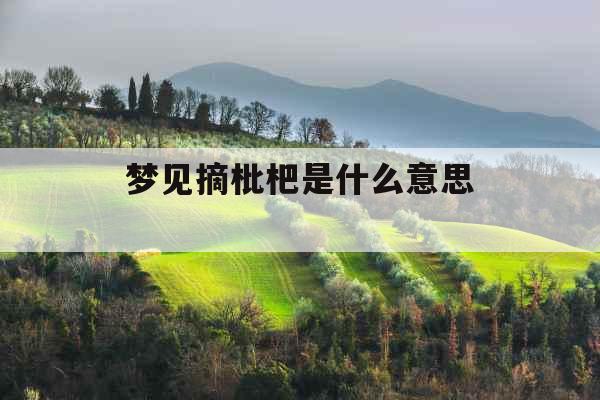 梦见摘枇杷是什么意思 