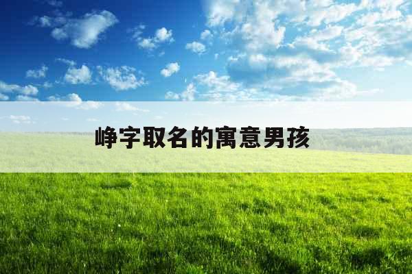 峥字取名的寓意男孩 