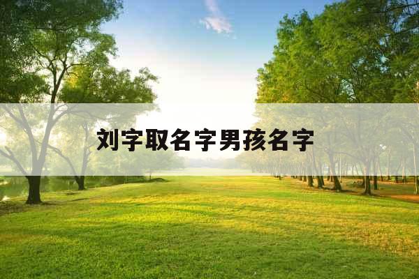 刘字取名字男孩名字 
