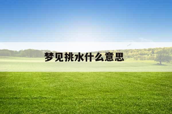 梦见挑水什么意思  梦见挑水什么意思
