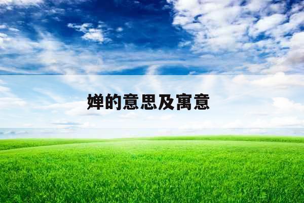 婵的意思及寓意 