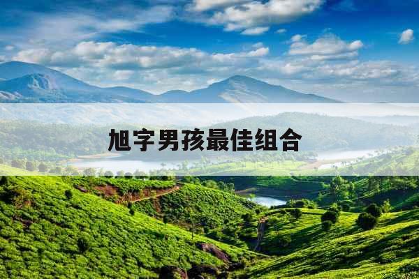 旭字男孩最佳组合 