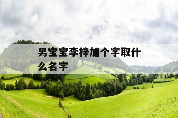 男宝宝李梓加个字取什么名字 
