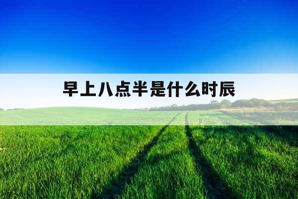 早上八点半是什么时辰 