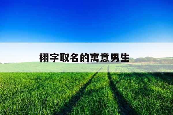 栩字取名的寓意男生 