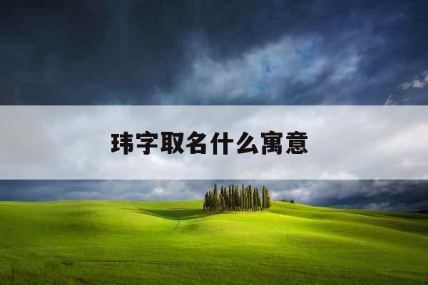 玮字取名什么寓意 