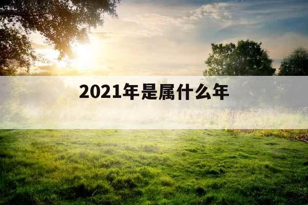 2021年是属什么年 
