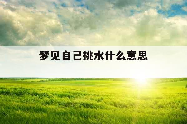 梦见自己挑水什么意思 
