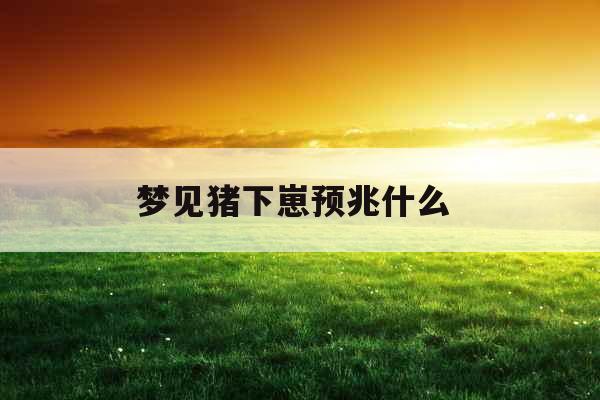 梦见猪下崽预兆什么 