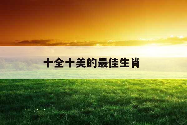 十全十美的最佳生肖 