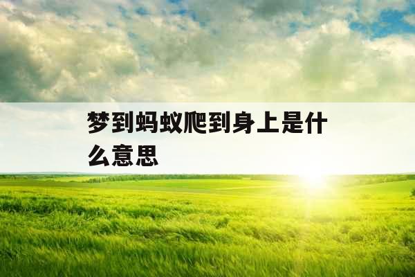梦到蚂蚁爬到身上是什么意思 