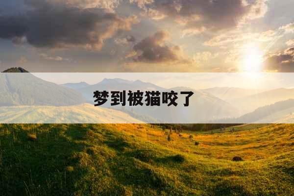 梦到被猫咬了 