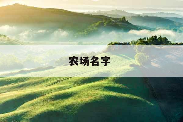 农场名字 