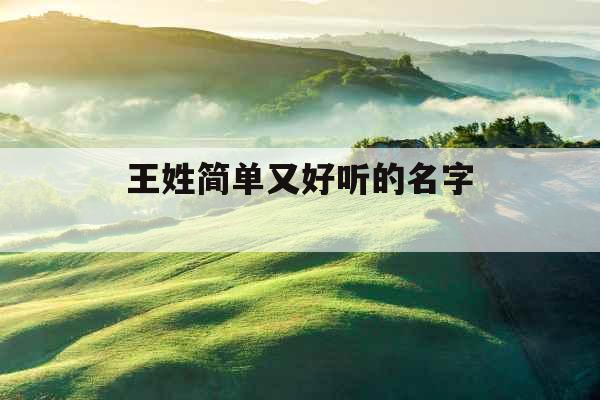 王姓简单又好听的名字 