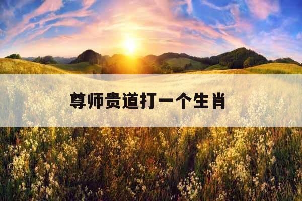 尊师贵道打一个生肖 