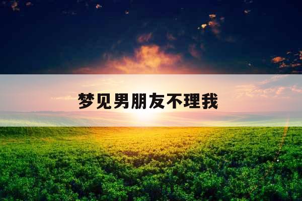 梦见男朋友不理我 
