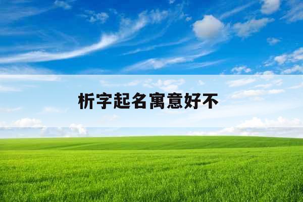 析字起名寓意好不 
