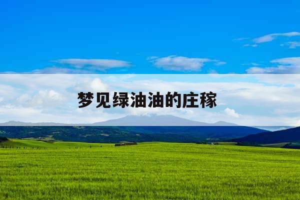梦见绿油油的庄稼 
