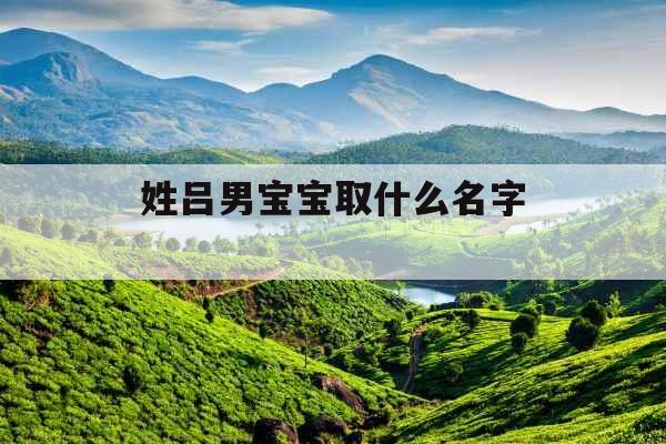 姓吕男宝宝取什么名字 