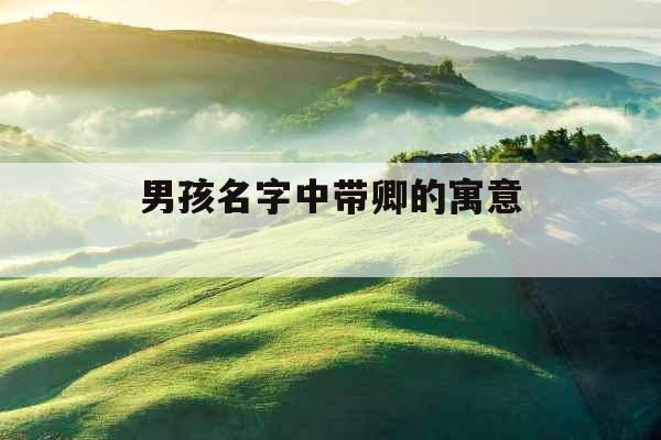 男孩名字中带卿的寓意 